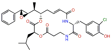 Cryptophycin 176